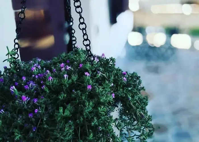 Apartament Colle Tarigni *